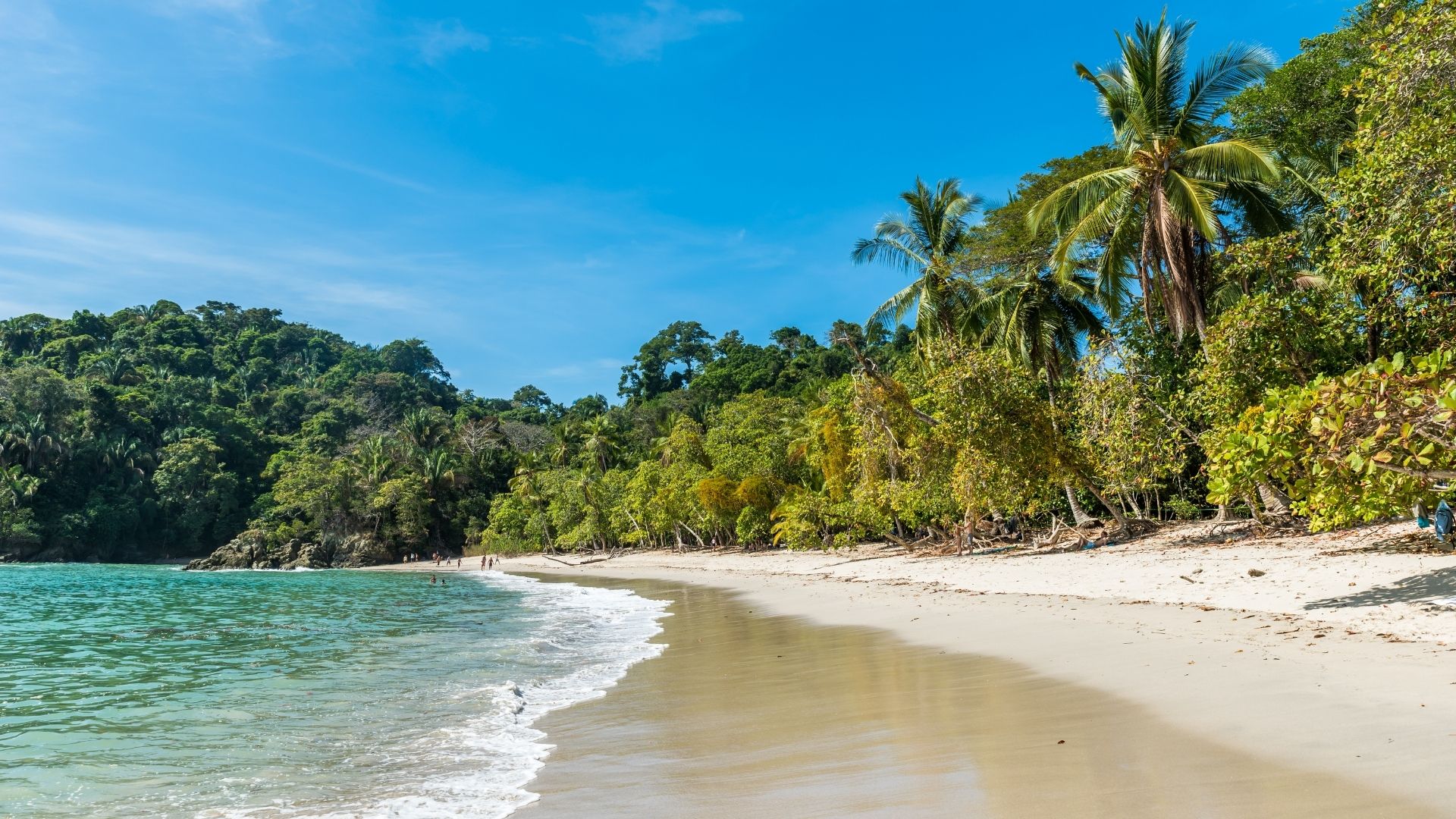 San José - Tortuguero (1/2)